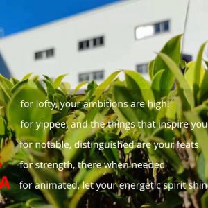 How Your Flexible Solar Panel is Made by Lynsa Solar How Your Flexible Solar Panel is Made by Lynsa Solar